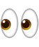 eyes icon